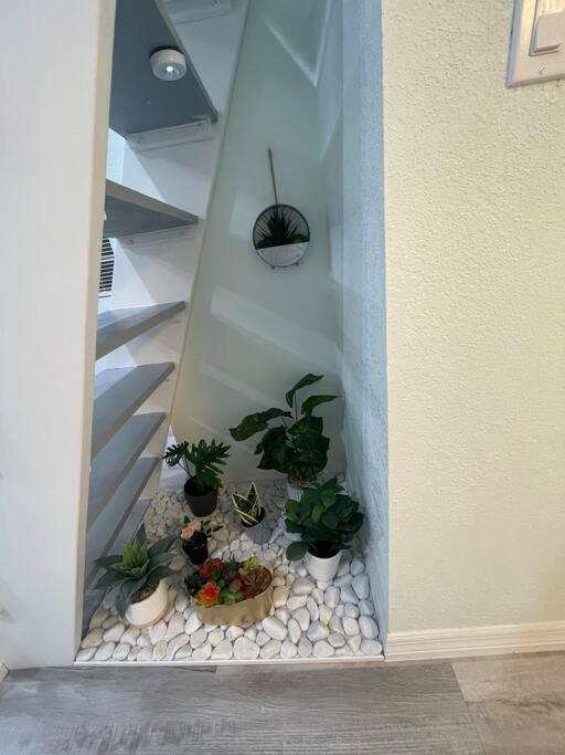The Tiny Cottage In The Springs/ Central Fl Altamonte Springs Eksteriør billede